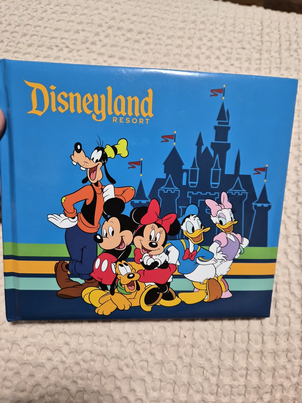 Disney Donald Duck Sticker Pocket Pages - White & Blue